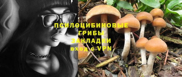 a pvp Пестово