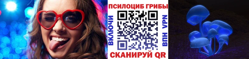 Псилоцибиновые грибы мухоморы  hydra как войти  darknet наркотические препараты  Руза 
